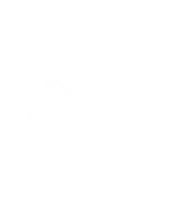 Beyond the Frame Festival 2024, Official Selection
