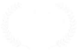 Corto Dorico Film Fest 2024, Dorico Virtuale Audience Award